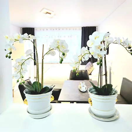 Schneider Steinhude Apartament