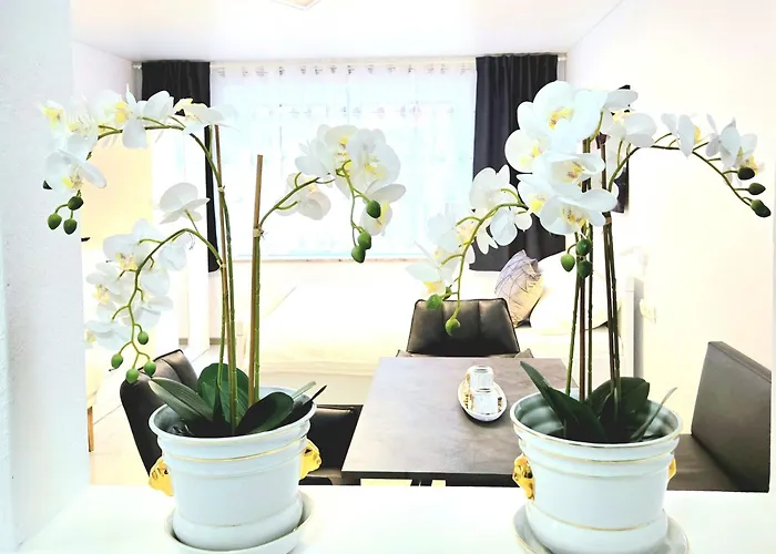 Schneider Steinhude Apartamento